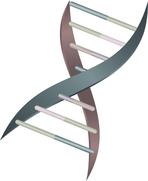 Combinatorial Evolution